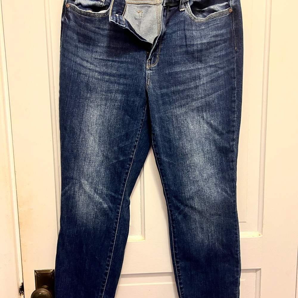 Judy Blue Skinny Jeans in Classic Blue